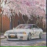 CVRSDCROWN