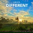 ANICE