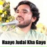 Tanveer Anjum