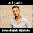 Ali Şahin