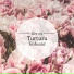 Turturu
