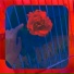 froly, Matheus Felipe Santana