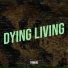 Towkio