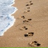 ASMR Walking on the Beach