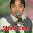 Shafi Esar