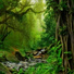 Nature Sounds Winds
