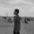 eoB.L