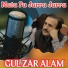 Gul Zar Alam
