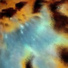 Reyn
