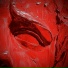 FindMyName