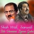 Shah Wali, Zarwali