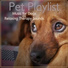 Dog Music Zone