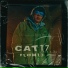 Cat 17