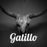 Gatillo