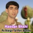 Hassan Shahi