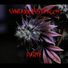 syntaxx 145 feat. Koch
