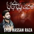 Syed Hassan Raza