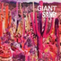 04 Giant Sand