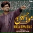 Faisal Hasnain Khan