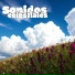 Clara Mente