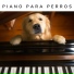 Piano for Dogs