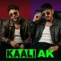 RAAGII feat. KAPIL KHORI