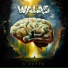 Walas