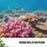 Relajacion, Weather and Nature Recordings, Sommeil