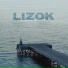 LIZOK