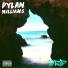 Dylan Williams