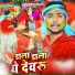 Bipin Bihari