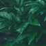 Massage, Study Power, Nature & Sounds Backgrounds