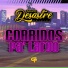 Grupo Desastre Oficial