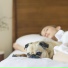 Cat Music, Amazing Spa Music, Pet Care Club
