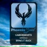 Camoknights, Gerideau