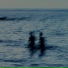 QXRNT