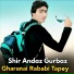 Shir Andaz Gurbaz