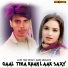 Sahin Khan Mewati, Aamir Nangaliya