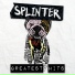 Splinter