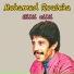 Mohamed Rouicha