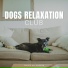 Dog Relaxation