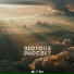 Alexander Riotous