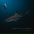 Wouter Achterberg