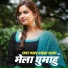 Lovely Nigam, Fuleshwar Dilwala