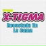 Grupo X-Tigma