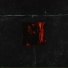 DXRWXN