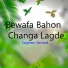 Sagheer Sanwal