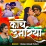 Vishal Bihari Yadav