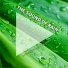 Regengeräusche, Rain Sounds, Yoga