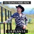 EL FELINO FARID AUN